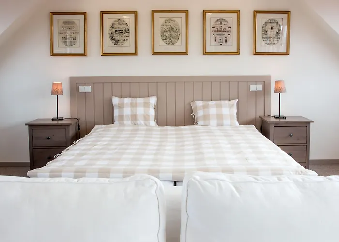 Dvur Hoffmeister מלון Velké Číčovice